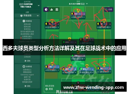 西多夫球员类型分析方法详解及其在足球战术中的应用 西多夫球员类型分析方法详解及其在足球战术中的应用