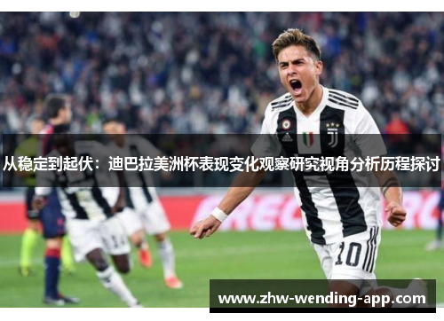 从稳定到起伏：迪巴拉美洲杯表现变化观察研究视角分析历程探讨