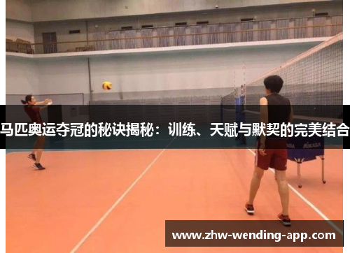 马匹奥运夺冠的秘诀揭秘:训练、天赋与默契的完美结合 马匹奥运夺冠的秘诀揭秘:训练、天赋与默契的完美结合