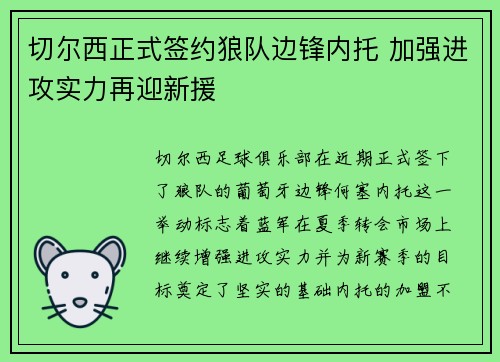 切尔西正式签约狼队边锋内托 加强进攻实力再迎新援 切尔西正式签约狼队边锋内托 加强进攻实力再迎新援